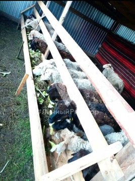 Дом 40м², участок 1 631 сот.